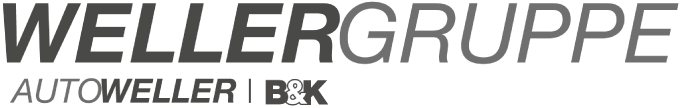 Wellergruppe Logo