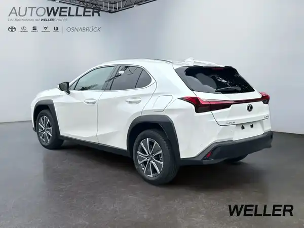 LEXUS UX 300E (2/15)