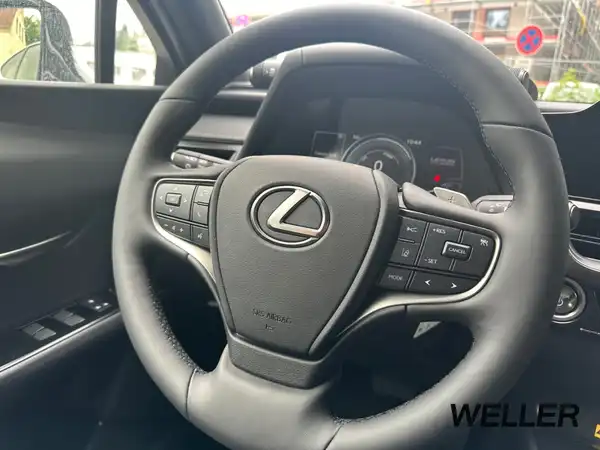 LEXUS UX 300E (14/15)