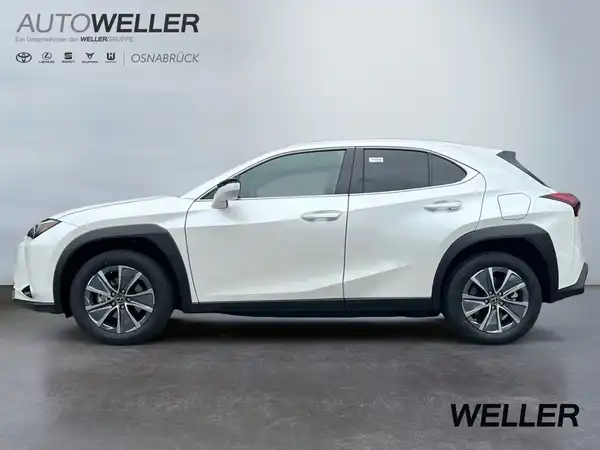 LEXUS UX 300E (4/15)