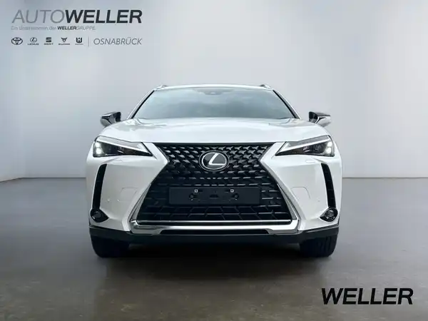 LEXUS UX 300E (6/15)