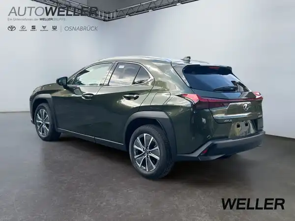 LEXUS UX 300E (2/15)