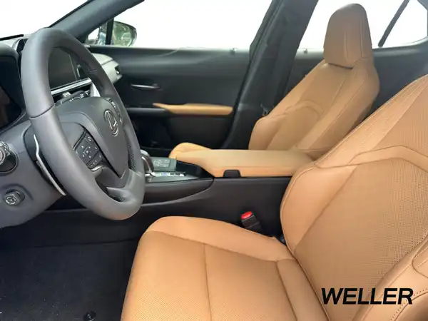 LEXUS UX 300E (13/15)