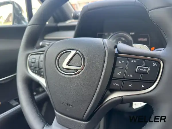 LEXUS UX 300E (14/15)