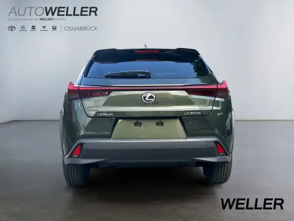 LEXUS UX 300E (5/15)