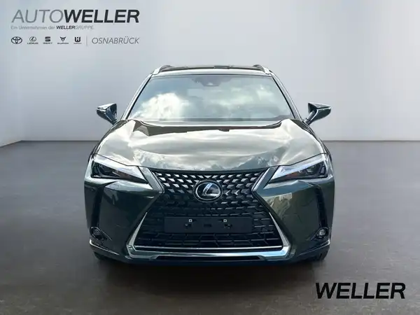 LEXUS UX 300E (6/15)