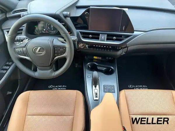 LEXUS UX 300E (9/15)