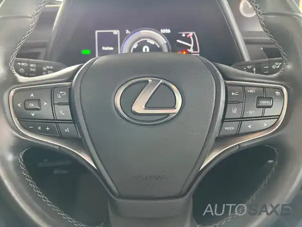 LEXUS UX 250H (14/15)