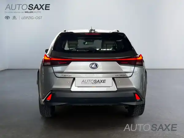 LEXUS UX 250H (5/15)