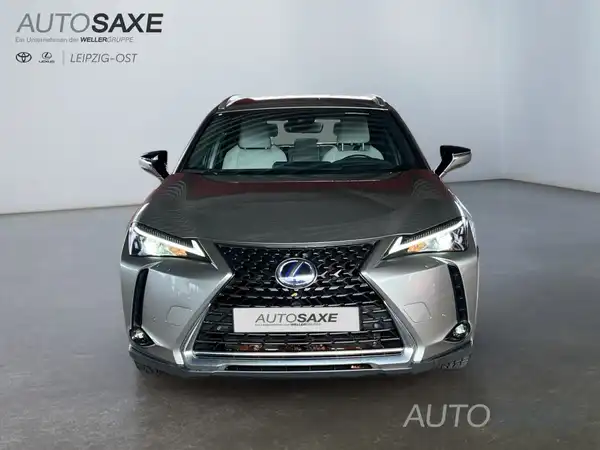 LEXUS UX 250H (6/15)