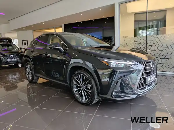 LEXUS NX 350H (2/15)