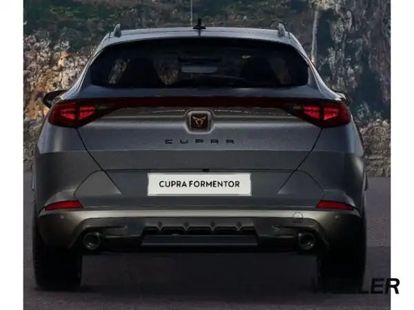 CUPRA FORMENTOR (7/15)