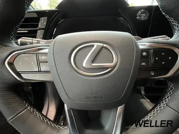 LEXUS RX 500H (15/15)