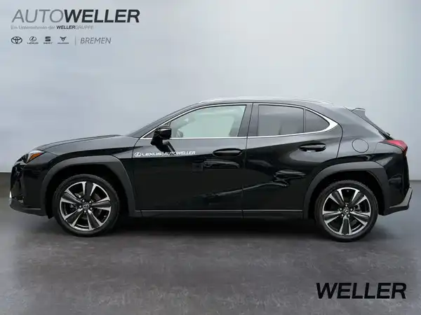 LEXUS UX 250H (4/15)