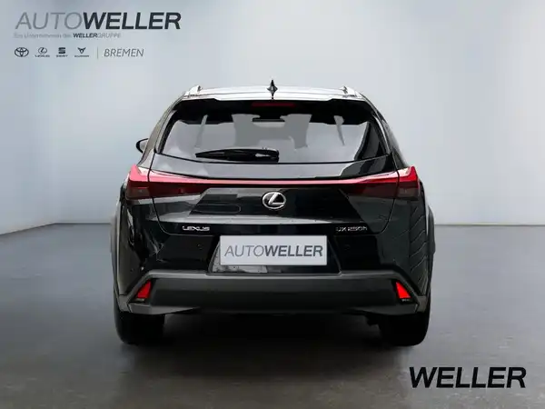 LEXUS UX 250H (5/15)