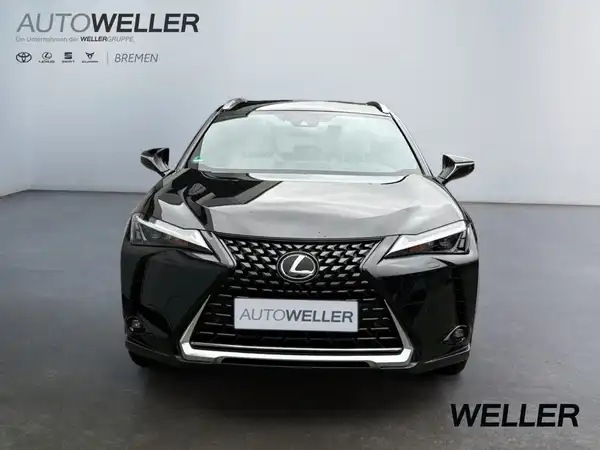 LEXUS UX 250H (6/15)