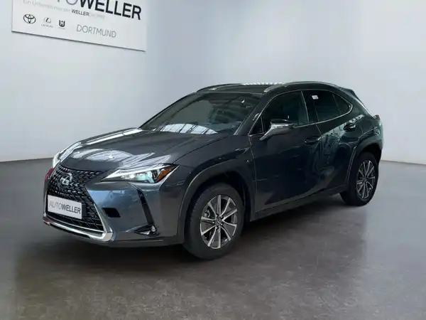 LEXUS UX 300E (1/15)