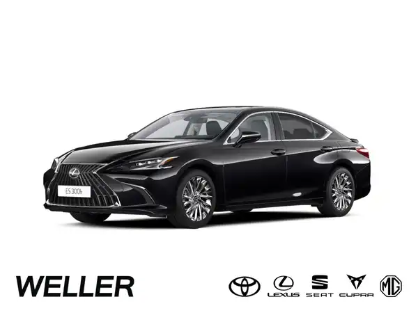 LEXUS ES 300 (1/15)