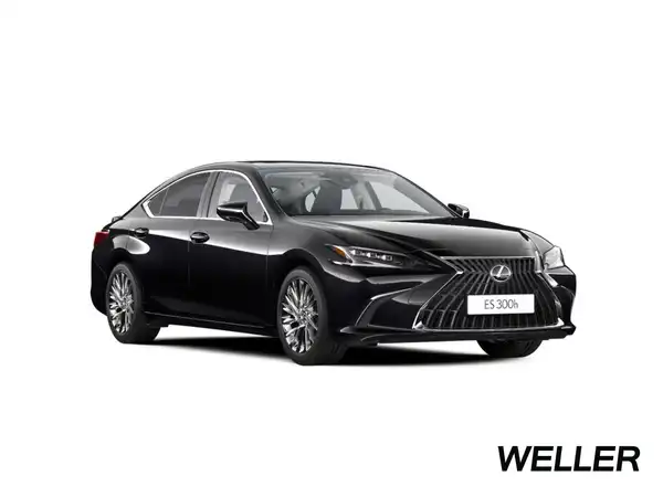 LEXUS ES 300 (13/15)