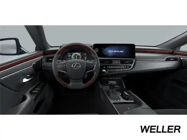 LEXUS ES 300 (15/15)