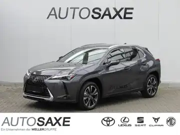 LEXUS UX 250H (1/15)