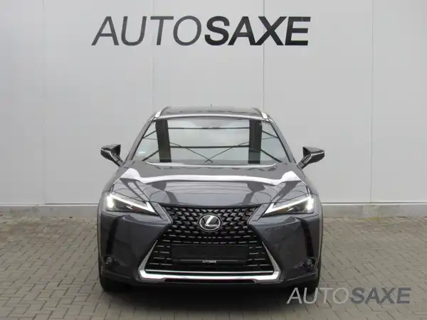 LEXUS UX 250H (4/15)