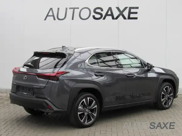 LEXUS UX 250H (6/15)