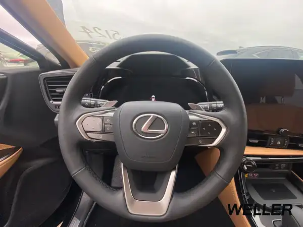 LEXUS NX 450H+ (14/15)