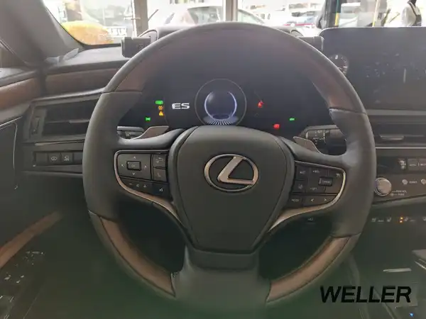 LEXUS ES 300 (14/15)