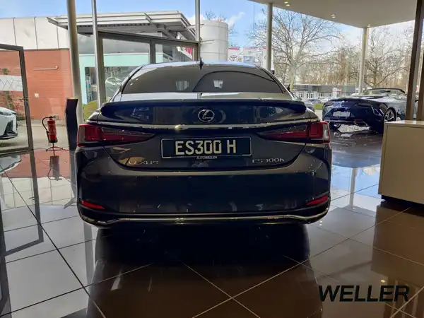 LEXUS ES 300 (6/15)