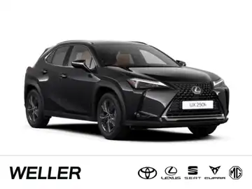 LEXUS UX 250H (1/15)