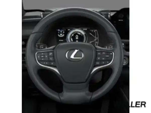 LEXUS UX 250H (14/15)