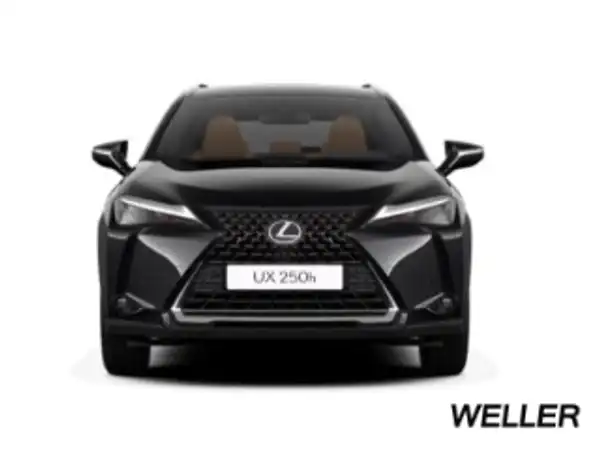 LEXUS UX 250H (4/15)