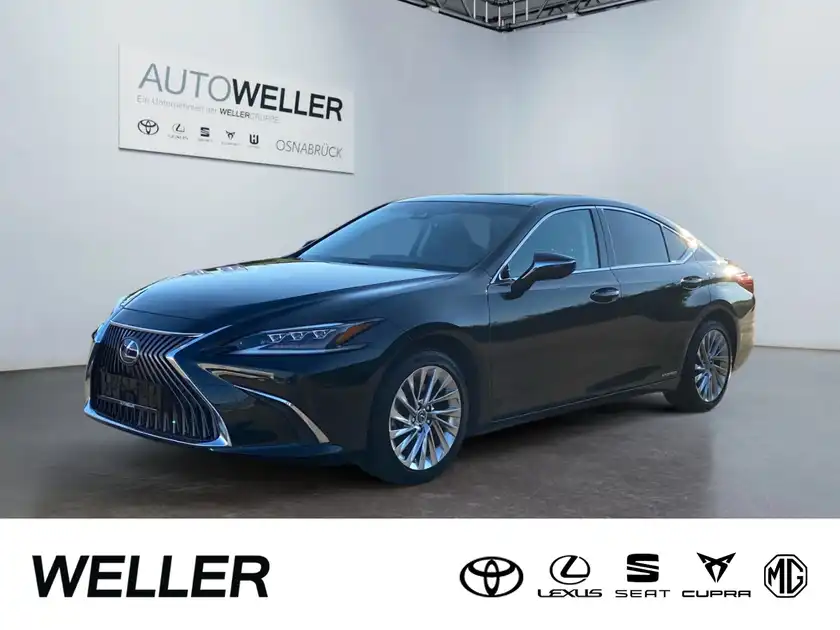 LEXUS ES 300 (1/15)