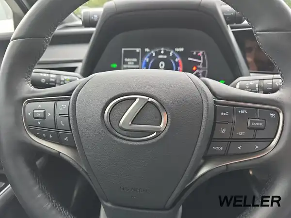 LEXUS UX 250H (14/15)