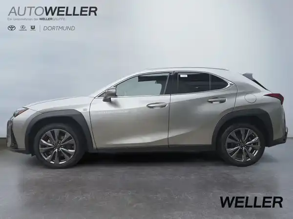 LEXUS UX 250H (4/15)