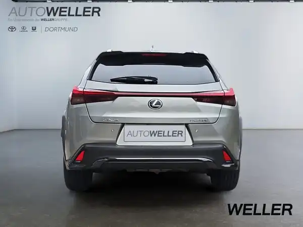 LEXUS UX 250H (5/15)