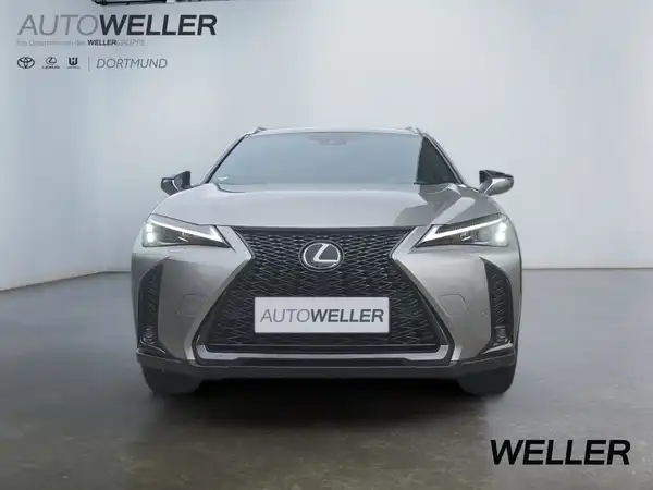 LEXUS UX 250H (6/15)