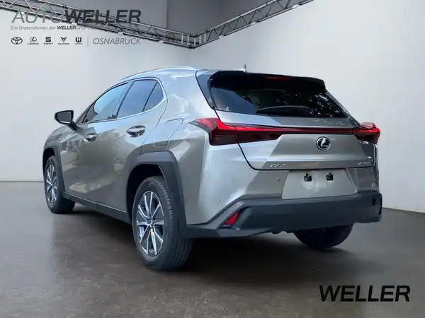 LEXUS UX 300E (2/15)