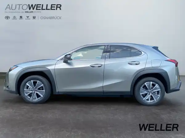 LEXUS UX 300E (4/15)