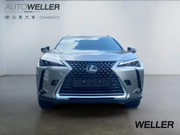 LEXUS UX 300E (6/15)