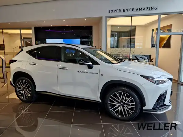 LEXUS NX 450H+ (2/15)