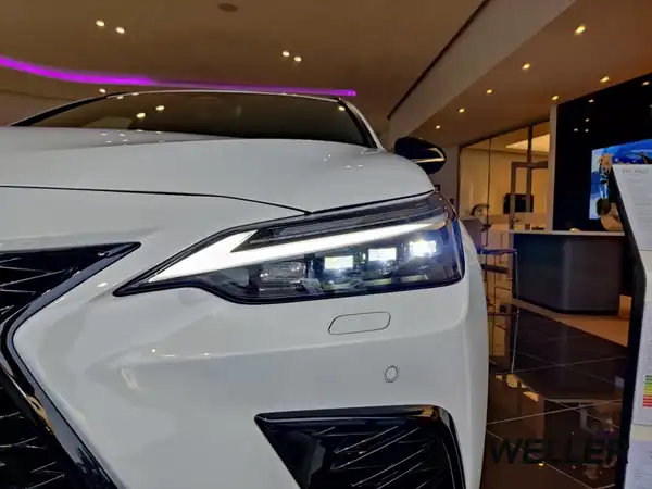 LEXUS NX 450H+ (9/15)