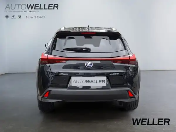 LEXUS UX 250H (5/15)