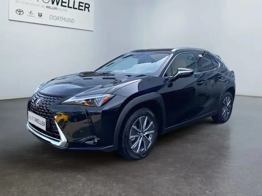 LEXUS UX 300E (1/15)