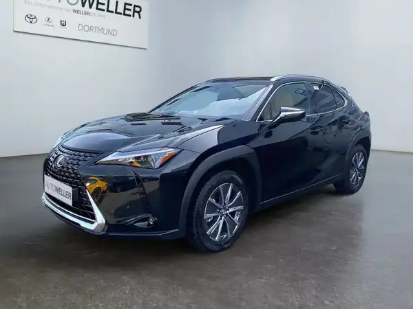 LEXUS UX 300E (1/15)