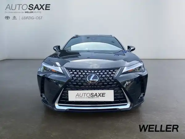 LEXUS UX 300E (6/15)