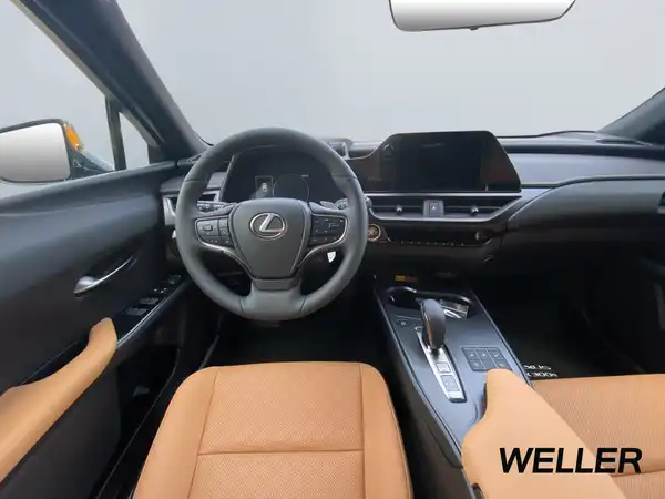 LEXUS UX 300E (9/15)