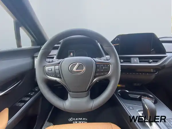 LEXUS UX 300E (10/15)