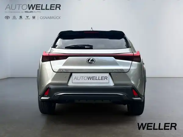 LEXUS UX 250H (5/15)